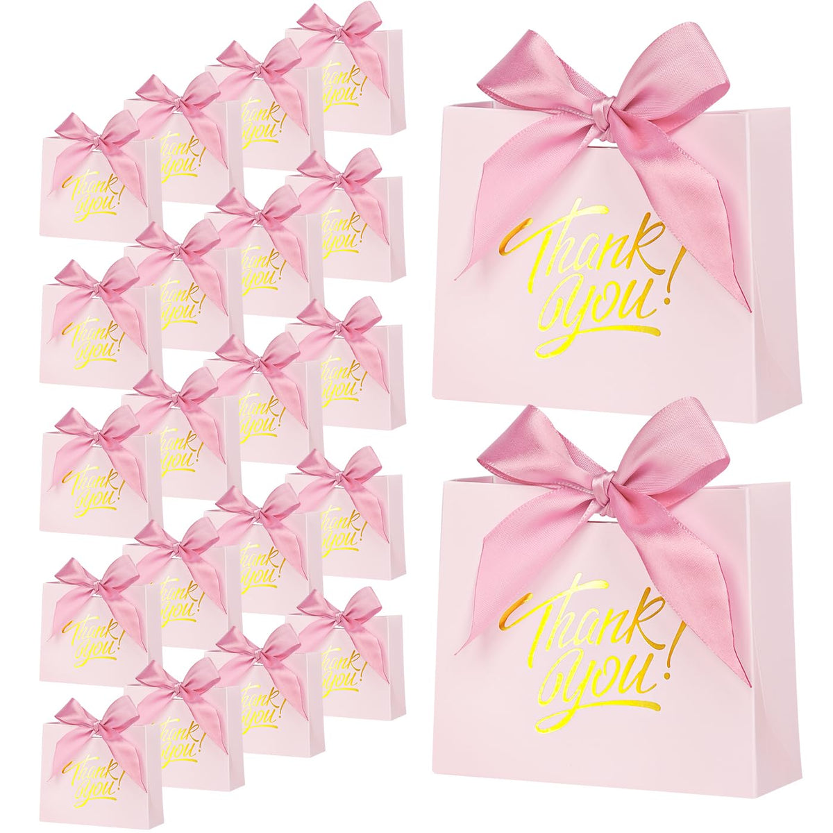 Small Gift Bags — 24 Pack (Pink)
